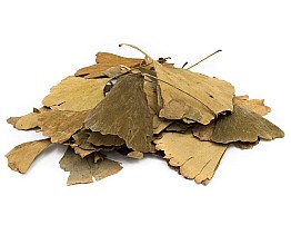 Ginkgo Tea