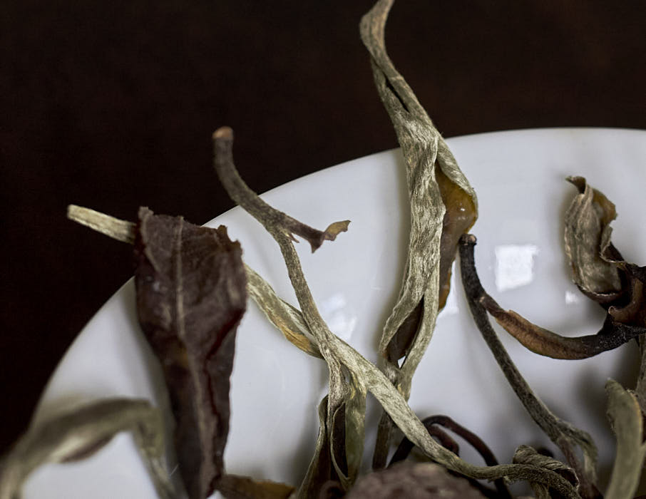 2025 white tea Moon in Bloom