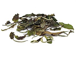 Yue Guang Bai White Tea 2024