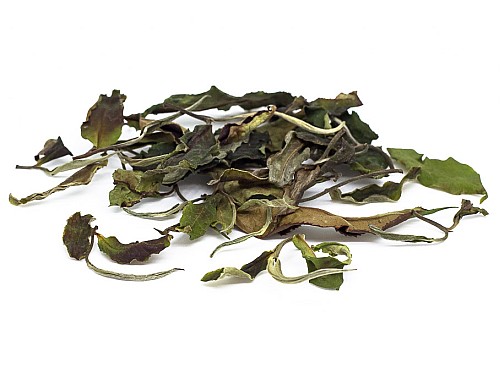 2024 Moonlight White Tea