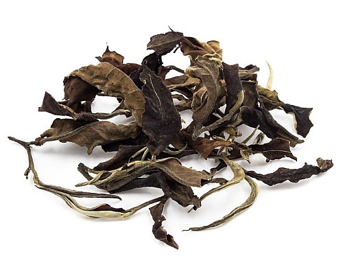 2018 Moonlight White Tea 2018 Moonlight White Tea