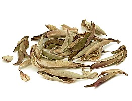 White Wild Tea Buds  2026  - Buy Online