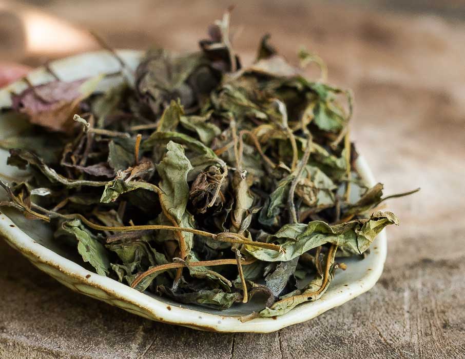 2020 Дикий белый чай со старых деревьев Таиланда - Купить онлайн | TEA SIDE