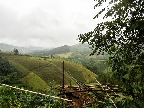 Nice view during tea trip