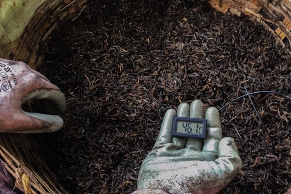 We make our own tea Homemade ripe pu-erh tea